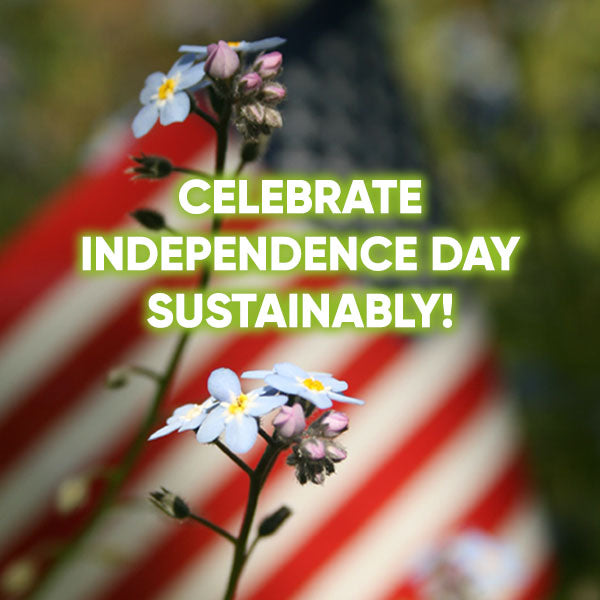 Celebrate Independence Day Sustainably with Carbon Neutral Shipping