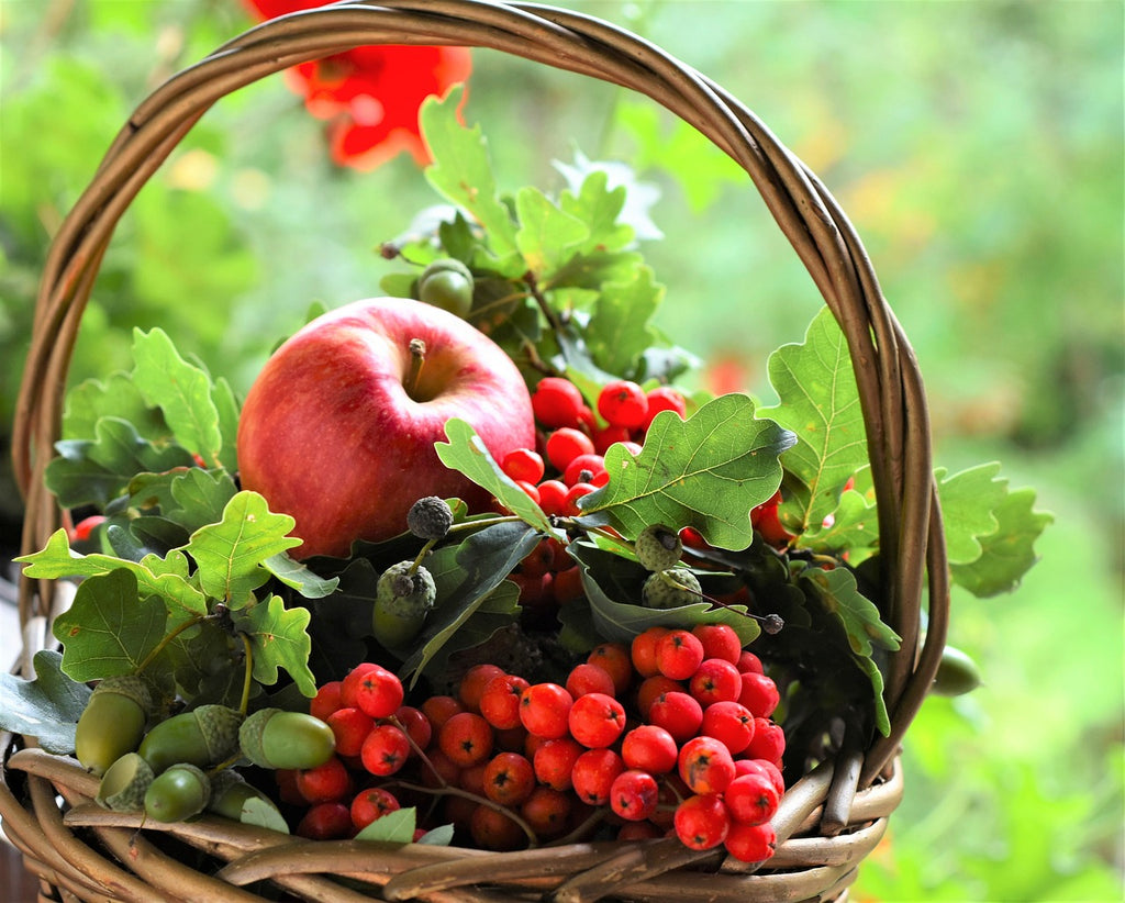 Harvest Sustainably: Embrace October with Eco Friendly Baskets in Hand 🍏