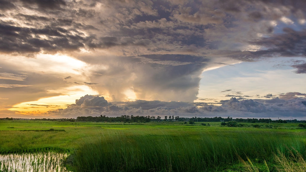 Preparing for Hurricane Season: The Essential Role of Generators 🌀