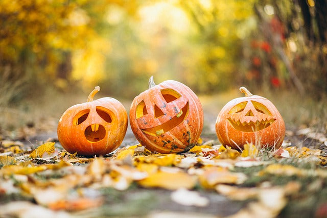 Sustainable Spooks: Tips for an Eco-Friendly Halloween 🎃👻