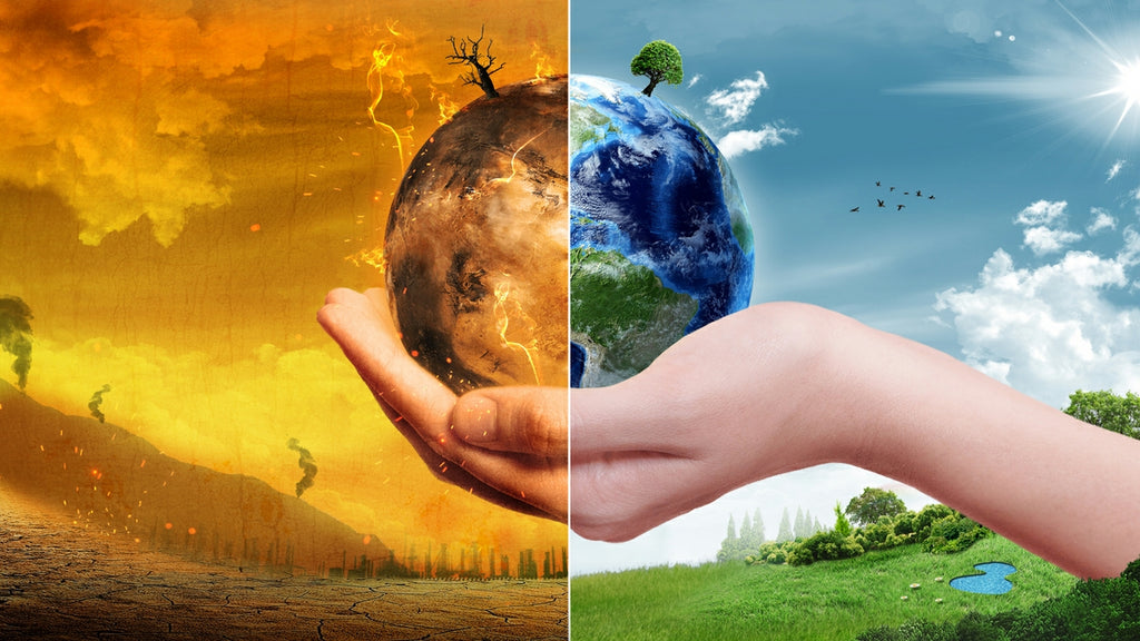 5 Practical Ways to Help Our Planet Every Day