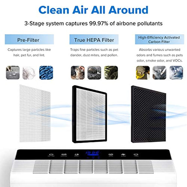 1.8 in. x 13.6 in. x 11.6 in. Replacement Filter Set for Air Purifier  LV-PUR131-RF True HEPA and Carbon Filters Set